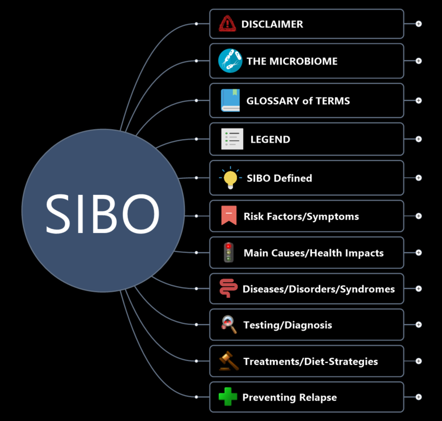 The SIBO Mind Map