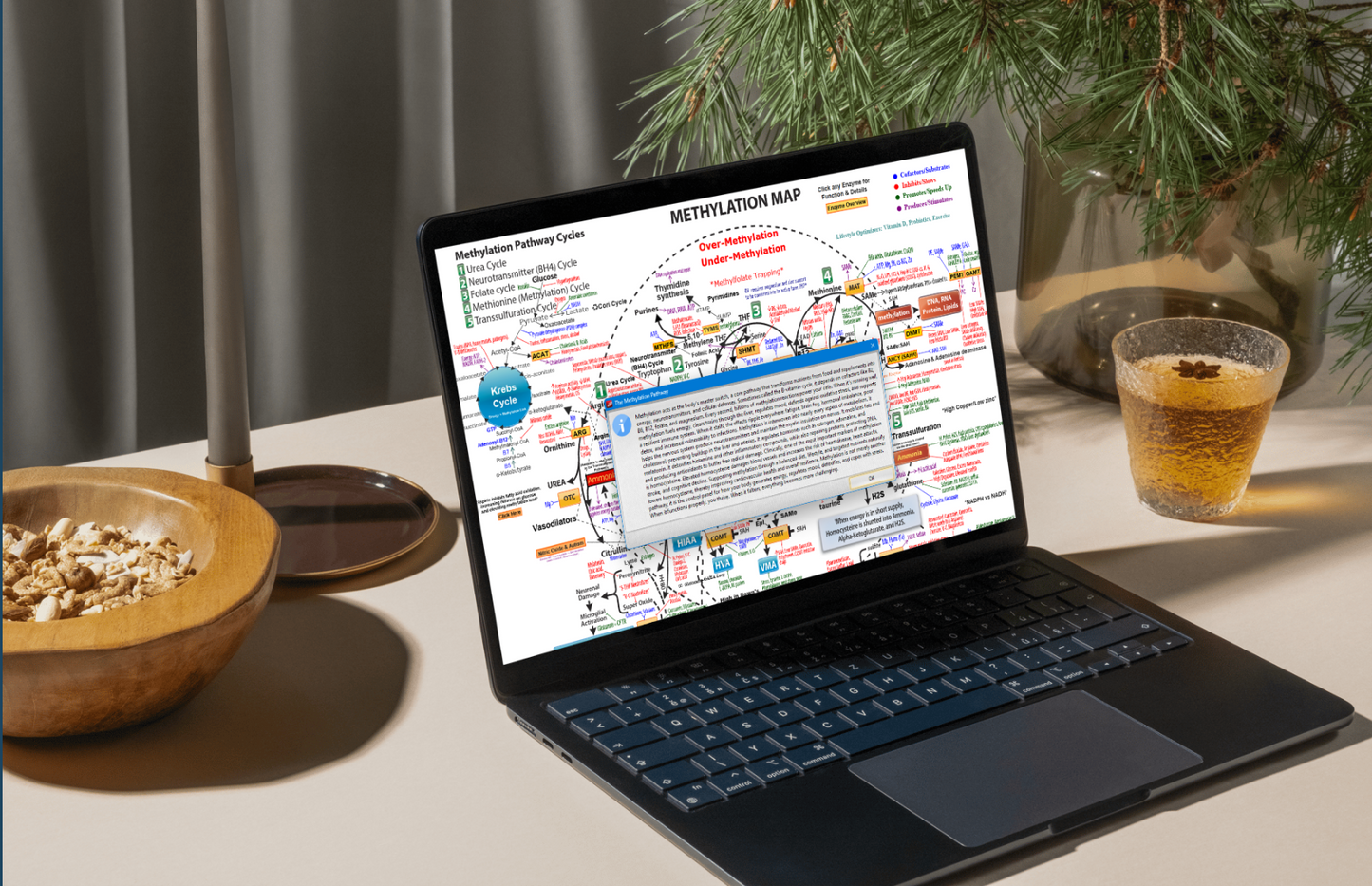 Methylation Map – Interactive PDF (Practitioner Edition)