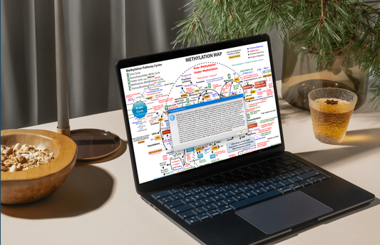 Methylation Map – Interactive PDF (Practitioner Edition)